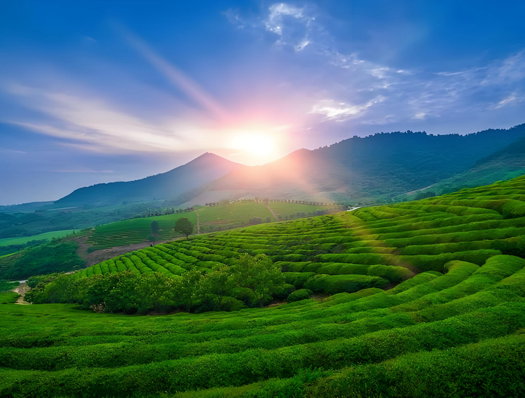 内蒙古武川县森林防火无线监控传输成功案例