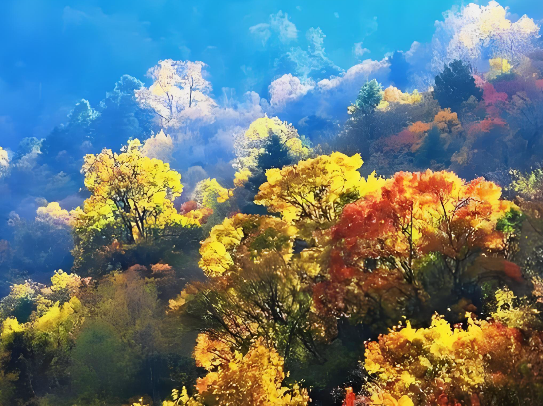 内蒙古赤峰阿鲁科尔沁旗森林防火无线监控传输案例