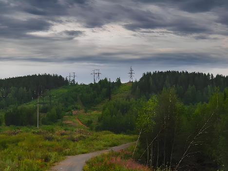 黑龙江虎林市草原局森林防火无线监控传输项目案例